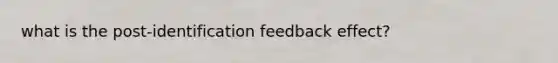 what is the post-identification feedback effect?