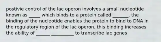 postivie control of the lac operon involves a small nucleotide known as _____ which binds to a protein called _______. the binding of the nucleotide enables the protein to bind to DNA in the regulatory region of the lac operon. this binding increases the ability of ______ __________ to transcribe lac genes