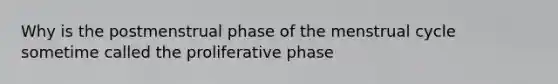 Why is the postmenstrual phase of the menstrual cycle sometime called the proliferative phase