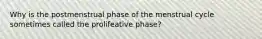 Why is the postmenstrual phase of the menstrual cycle sometimes called the prolifeative phase?