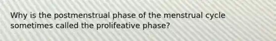 Why is the postmenstrual phase of the menstrual cycle sometimes called the prolifeative phase?