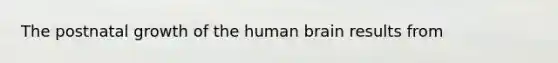 The postnatal growth of the human brain results from