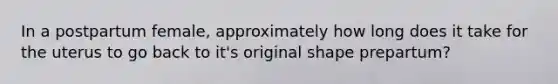 In a postpartum female, approximately how long does it take for the uterus to go back to it's original shape prepartum?