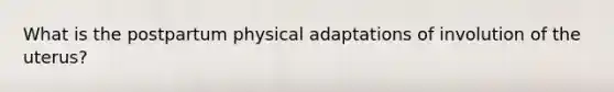 What is the postpartum physical adaptations of involution of the uterus?