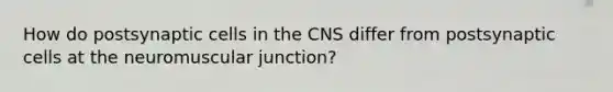 How do postsynaptic cells in the CNS differ from postsynaptic cells at the neuromuscular junction?