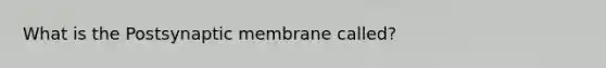 What is the Postsynaptic membrane called?