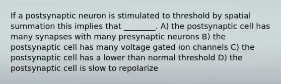 If a postsynaptic neuron is stimulated to threshold by spatial summation this implies that ________. A) the postsynaptic cell has many synapses with many presynaptic neurons B) the postsynaptic cell has many voltage gated ion channels C) the postsynaptic cell has a lower than normal threshold D) the postsynaptic cell is slow to repolarize