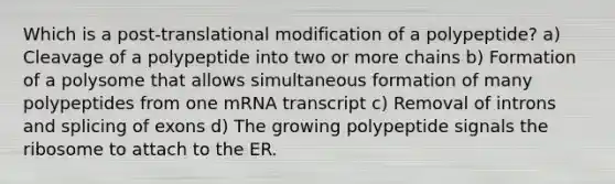 Which is a post-translational modification of a polypeptide? a) Cleavage of a polypeptide into two or more chains b) Formation of a polysome that allows simultaneous formation of many polypeptides from one mRNA transcript c) Removal of introns and splicing of exons d) The growing polypeptide signals the ribosome to attach to the ER.