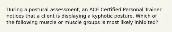 During a postural assessment, an ACE Certified Personal Trainer notices that a client is displaying a kyphotic posture. Which of the following muscle or muscle groups is most likely inhibited?