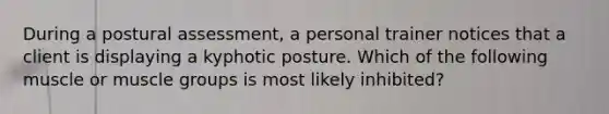 During a postural assessment, a personal trainer notices that a client is displaying a kyphotic posture. Which of the following muscle or muscle groups is most likely inhibited?