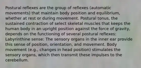 Postural reflexes are the group of reflexes (automatic movements) that maintain body position and equilibrium, whether at rest or during movement. Postural tonus, the sustained contraction of select skeletal muscles that keeps the human body in an upright position against the force of gravity, depends on the functioning of several postural reflexes: Labyrinthine sense: The sensory organs in the inner ear provide this sense of position, orientation, and movement. Body movement (e.g., changes in head position) stimulates the sensory organs, which then transmit these impulses to the cerebellum.