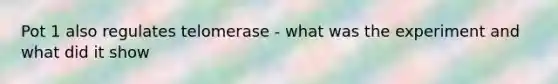 Pot 1 also regulates telomerase - what was the experiment and what did it show