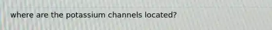 where are the potassium channels located?