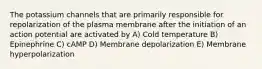 The potassium channels that are primarily responsible for repolarization of the plasma membrane after the initiation of an action potential are activated by A) Cold temperature B) Epinephrine C) cAMP D) Membrane depolarization E) Membrane hyperpolarization