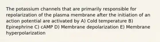 The potassium channels that are primarily responsible for repolarization of the plasma membrane after the initiation of an action potential are activated by A) Cold temperature B) Epinephrine C) cAMP D) Membrane depolarization E) Membrane hyperpolarization