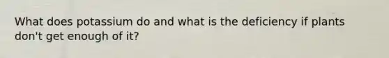 What does potassium do and what is the deficiency if plants don't get enough of it?