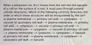 When a potassium ion (K+) moves from the soil into the vacuole of a cell on the surface of a root, it must pass through several cellular structures. Which of the following correctly describes the order in which these structures will be encountered by the ion? a) plasma membrane --> primary cell wall --> cytoplasm --> vacuole b) secondary cell wall --> plasma membrane --> primary cell wall --> cytoplasm --> vacuole c) primary cell wall --> plasma membrane --> cytoplasm --> vacuole d) primary cell wall --> plasma membrane --> lysosome --> cytoplasm --> vacoule e) primary cell wall --> plasma membrane --> cytoplasm --> secondary cell wall --> vacuole