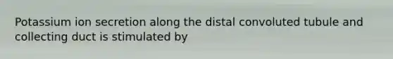 Potassium ion secretion along the distal convoluted tubule and collecting duct is stimulated by