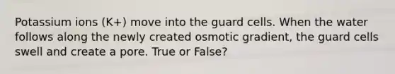 Potassium ions (K+) move into the guard cells. When the water follows along the newly created osmotic gradient, the guard cells swell and create a pore. True or False?