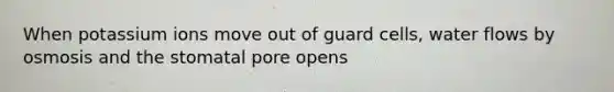 When potassium ions move out of guard cells, water flows by osmosis and the stomatal pore opens