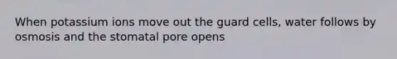 When potassium ions move out the guard cells, water follows by osmosis and the stomatal pore opens