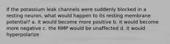 If the potassium leak channels were suddenly blocked in a resting neuron, what would happen to its resting membrane potential? a. it would become more positive b. it would become more negative c. the RMP would be unaffected d. it would hyperpolarize