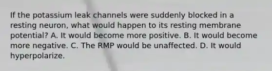 If the potassium leak channels were suddenly blocked in a resting neuron, what would happen to its resting membrane potential? A. It would become more positive. B. It would become more negative. C. The RMP would be unaffected. D. It would hyperpolarize.