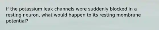 If the potassium leak channels were suddenly blocked in a resting neuron, what would happen to its resting membrane potential?