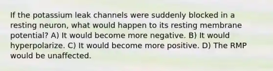 If the potassium leak channels were suddenly blocked in a resting neuron, what would happen to its resting membrane potential? A) It would become more negative. B) It would hyperpolarize. C) It would become more positive. D) The RMP would be unaffected.