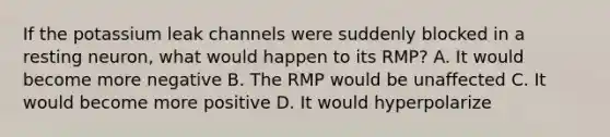 If the potassium leak channels were suddenly blocked in a resting neuron, what would happen to its RMP? A. It would become more negative B. The RMP would be unaffected C. It would become more positive D. It would hyperpolarize