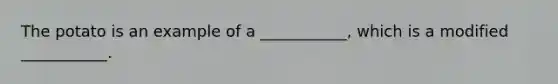 The potato is an example of a ___________, which is a modified ___________.