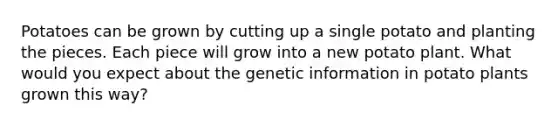 Potatoes can be grown by cutting up a single potato and planting the pieces. Each piece will grow into a new potato plant. What would you expect about the genetic information in potato plants grown this way?