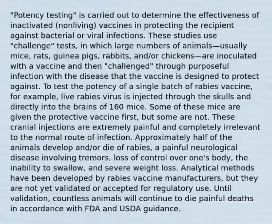 "Potency testing" is carried out to determine the effectiveness of inactivated (nonliving) vaccines in protecting the recipient against bacterial or viral infections. These studies use "challenge" tests, in which large numbers of animals—usually mice, rats, guinea pigs, rabbits, and/or chickens—are inoculated with a vaccine and then "challenged" through purposeful infection with the disease that the vaccine is designed to protect against. To test the potency of a single batch of rabies vaccine, for example, live rabies virus is injected through the skulls and directly into <a href='https://www.questionai.com/knowledge/kLMtJeqKp6-the-brain' class='anchor-knowledge'>the brain</a>s of 160 mice. Some of these mice are given the protective vaccine first, but some are not. These cranial injections are extremely painful and completely irrelevant to the normal route of infection. Approximately half of the animals develop and/or die of rabies, a painful neurological disease involving tremors, loss of control over one's body, the inability to swallow, and severe weight loss. Analytical methods have been developed by rabies vaccine manufacturers, but they are not yet validated or accepted for regulatory use. Until validation, countless animals will continue to die painful deaths in accordance with FDA and USDA guidance.