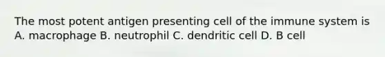 The most potent antigen presenting cell of the immune system is A. macrophage B. neutrophil C. dendritic cell D. B cell