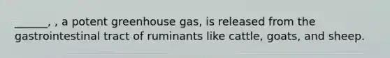 ______, , a potent greenhouse gas, is released from the gastrointestinal tract of ruminants like cattle, goats, and sheep.