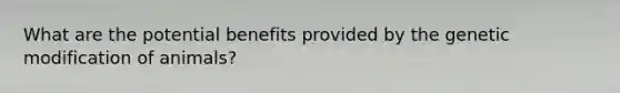 What are the potential benefits provided by the genetic modification of animals?