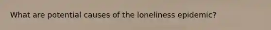 What are potential causes of the loneliness epidemic?