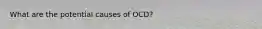 What are the potential causes of OCD?