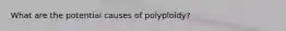 What are the potential causes of polyploidy?