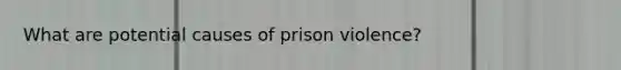 What are potential causes of prison violence?