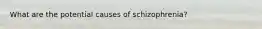 What are the potential causes of schizophrenia?