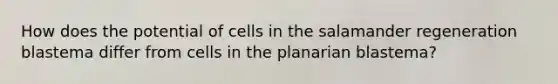 How does the potential of cells in the salamander regeneration blastema differ from cells in the planarian blastema?