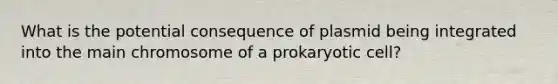 What is the potential consequence of plasmid being integrated into the main chromosome of a prokaryotic cell?