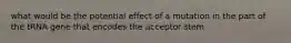 what would be the potential effect of a mutation in the part of the tRNA gene that encodes the acceptor stem