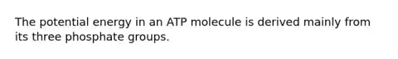 The potential energy in an ATP molecule is derived mainly from its three phosphate groups.