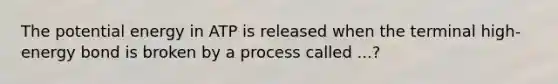 The potential energy in ATP is released when the terminal high-energy bond is broken by a process called ...?