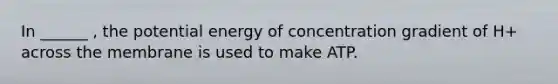 In ______ , the potential energy of concentration gradient of H+ across the membrane is used to make ATP.