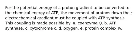 For the potential energy of a proton gradient to be converted to the chemical energy of ATP, the movement of protons down their electrochemical gradient must be coupled with ATP synthesis. This coupling is made possible by: a. coenzyme Q. b. ATP synthase. c. cytochrome c. d. oxygen. e. protein complex IV.