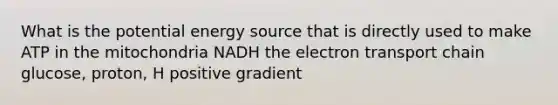 What is the potential energy source that is directly used to make ATP in the mitochondria NADH the electron transport chain glucose, proton, H positive gradient