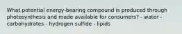 What potential energy-bearing compound is produced through photosynthesis and made available for consumers? - water - carbohydrates - hydrogen sulfide - lipids